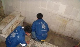 番禺區(qū)廠房屋面防水補(bǔ)漏，專業(yè)公司是保障生產(chǎn)的明智選擇